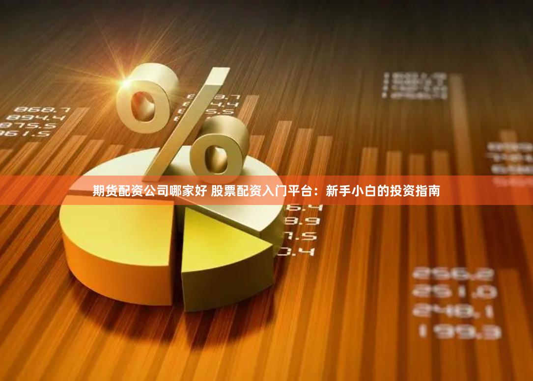 期货配资公司哪家好 股票配资入门平台：新手小白的投资指南