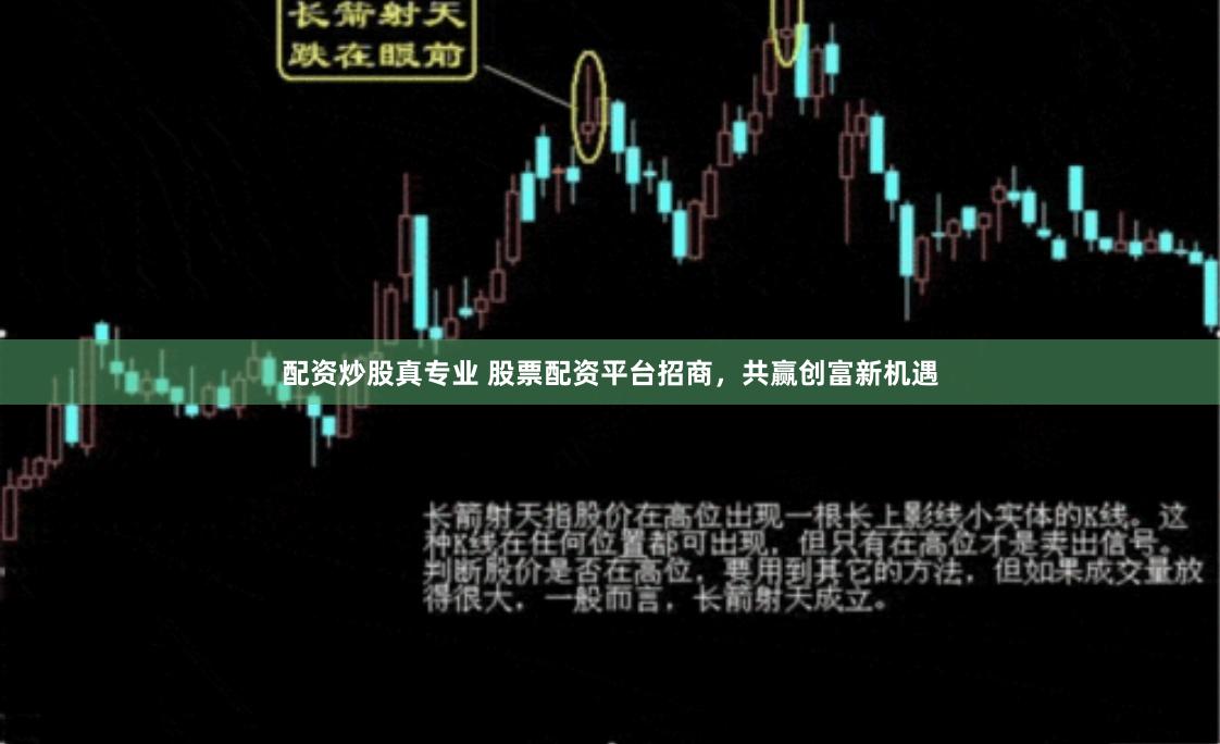 配资炒股真专业 股票配资平台招商，共赢创富新机遇