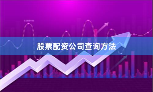 股票配资公司查询方法